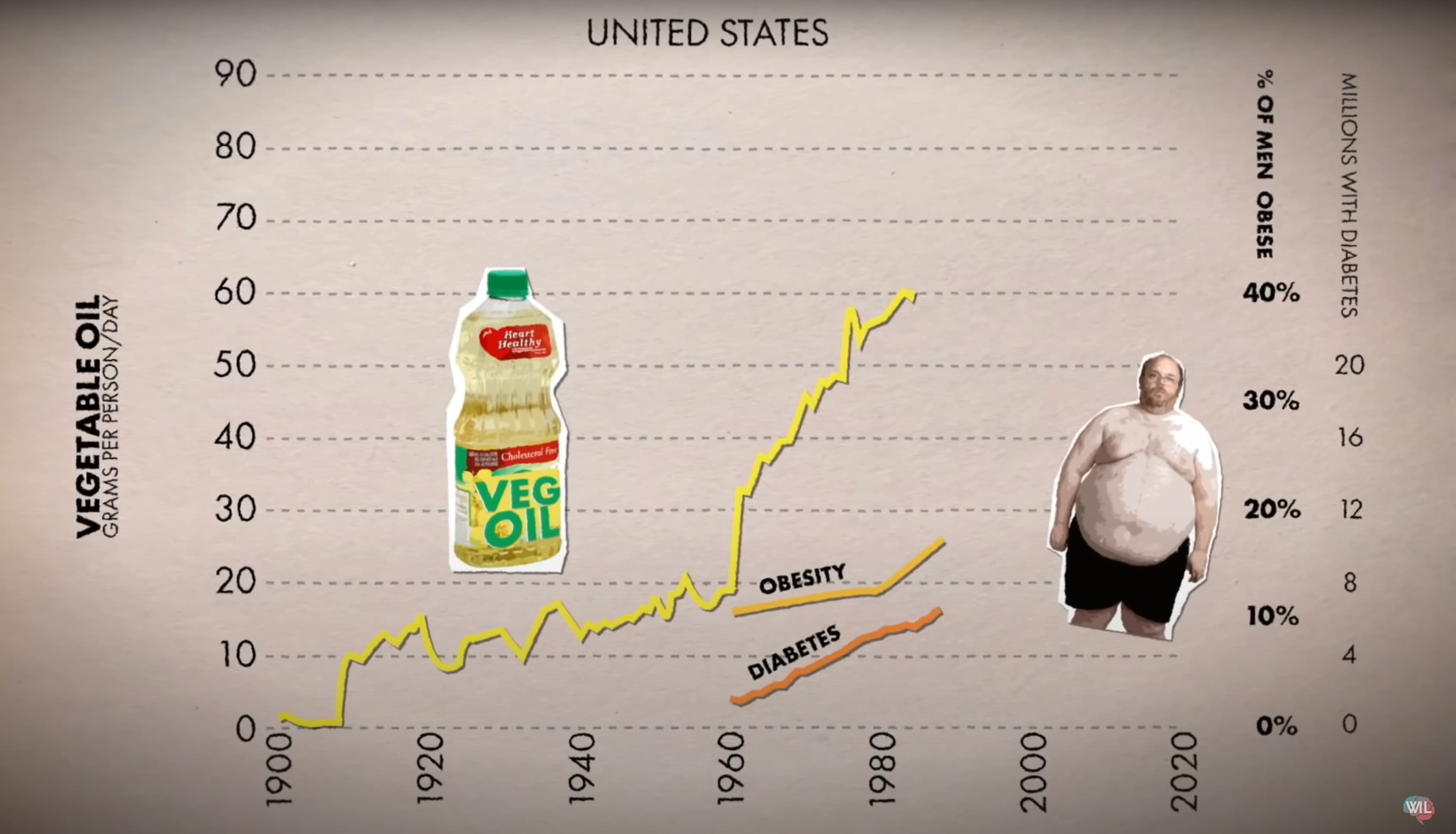 Trends of obesity versus seed oils