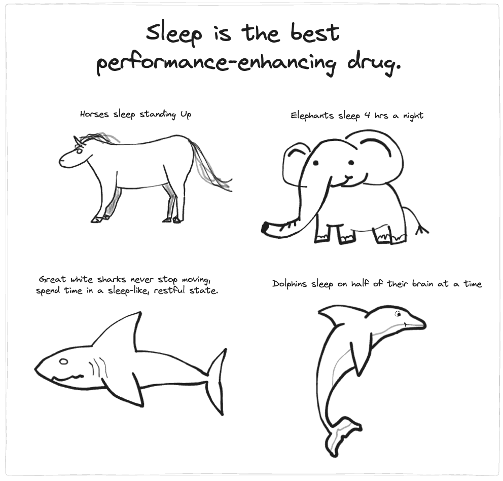 Sleep is the best performance enhancing drug